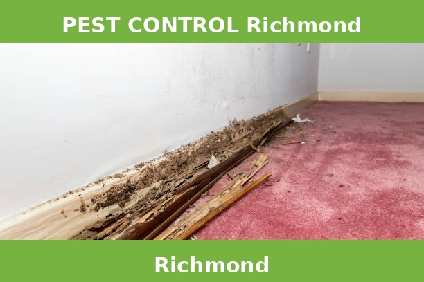 PEST CONTROL Richmond
